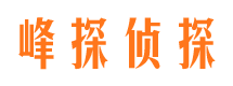 惠东市私家侦探